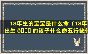 18年生的宝宝是什么命（18年出生 🐈 的孩子什么命五行缺什么）